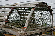 Another type of lobster trap
