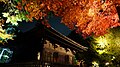 夜間に鑑賞する目的でライトアップされた紅葉の例（福島県・白水阿弥陀堂）