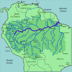 Амазон бассейні