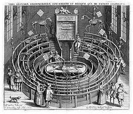 A Leideni Egyetem anatómiai teátruma a 17. század elején