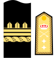 স্প্যানিশ নৌবাহিনী মেরিনস (General de división)