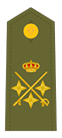 Teniente General