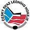 Logo des tschechischen Eishockeyverbands