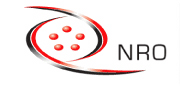 Number Resource Organization (logo).png