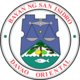 Official seal of San Isidro
