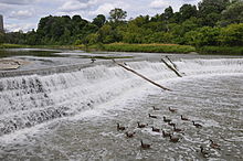 Water flows over a low dam over a river; one tree-lined bank of the river is visible.