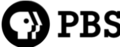 Logo keempat PBS (1998-2002)