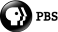 Logo keenam PBS (2009-2019)