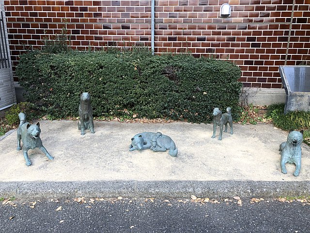 ファイル:中野お囲いの犬の像2.JPG