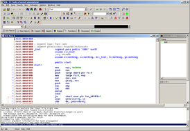 Скриншот программы IDA Pro Disassembler