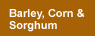 Barley, Corn & Sorghum