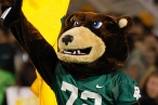 The Baylor mascot. Because it's fun.
