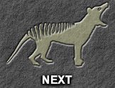 forward to: Image seven - Batty's thylacine