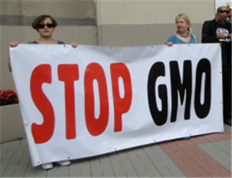 Anti-GMO sentiments are again voiced in Poland