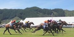 Trentham Races - heading for the finish line.