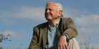 TV Preview: Attenborough - 60 Years in the Wild
