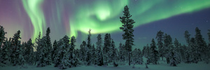 The Aurora Borealis. Photo / Thinkstock