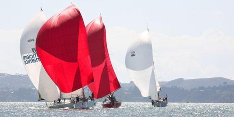 Elliotts will be attracting a lot of attention during the regatta. Photo / Ivor Wilkins