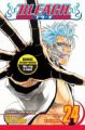 Bleach Vol. 24 (Manga) 