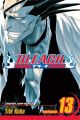 Bleach Vol. 13 (Manga)