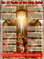 The Twelve Fruits of the Holy Spirit Explained Poster