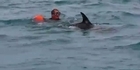Tangled dolphin rescue filmed