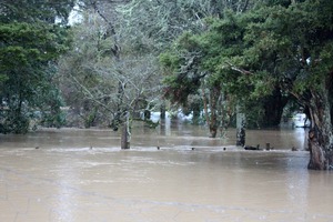 Flooding from the Waimauku River in Waimauku. Photo / Kerryn Davis