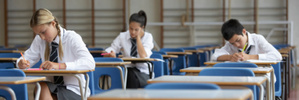 Exam results influenced by genes not schools - study