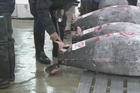 Bluefin tuna price slumps at Japan auction 