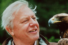 Attenborough's most horrific moment
