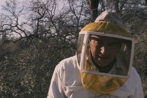 Movie review: More Than Honey