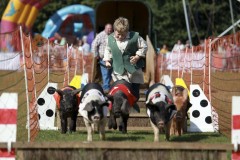 Pig Racing, Lambeth Country Show