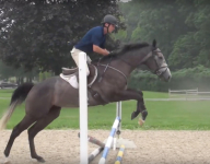 Equestrian says Michael Phelps' horse could be in the Olympics one day