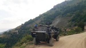 Ordu’da terör operasyonu yapan jandarma, 6 bin kök kenevir buldu