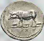 Coin of the Tenth legion Fretensis, showing the pig.
