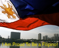 Philippine Flag Small