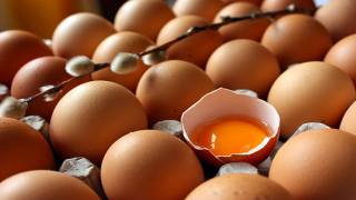 Kahverengi yumurtalar, tüketicilerin yoğun ilgisi nedeniyle organik ve gezen tavuk yumurtalarını bile geçerek, tanesi 1,5 liraya ulaşan fiyatlardan satılıyor. Uzmanlar tat ve beslenme değeri açısından kahverengi ve beyaz yumurta arasında hiçbir fark olmadığını belirtiyor.