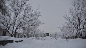Bitlis’te 149 köy yolu ulaşıma kapalı