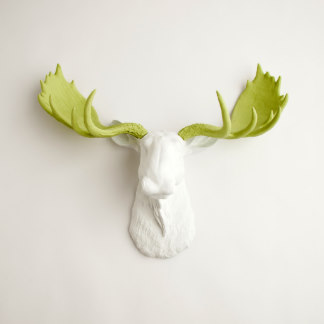 White Faux Moose Head with Mint Green Antlers