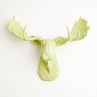 Mint Green Wall Décor Faux Moose Head