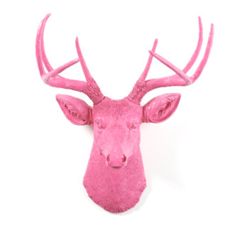 Pink Wall Décor Stag Deer Head