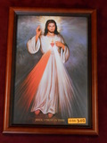 Divine Mercy (w/ Sacred Heart) 8x12 Framed Print