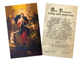 Spanish Mary Undoer of Knots Pope Francis' Prayer Holy Card