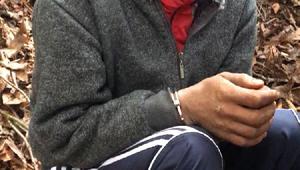 Giresun’da yakalanan PKKlı terörist, arazide yaşam koşullarını anlattı