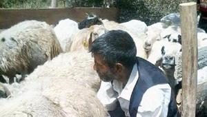 Hayvanları otlatmaya götüren çoban, ölü bulundu