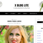 Xblog lite WordPress theme