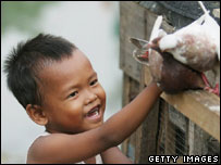 เด็กในอินโดนีเซียกับไก่ที่เลี้ยงในบ้าน