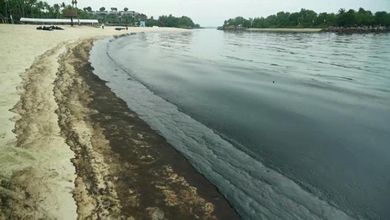 Singapore, circa 400 tonnellate di petrolio in mare: lotta contro il tempo per evitare il disastro ambientale