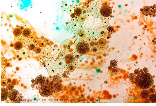 Schimmel, Bakterien und Mikroben sehen im Mikroskop ja oft ganz interessant aus – auf Förderbändern von Industrierobotern sind sie eine echte Gefahr!