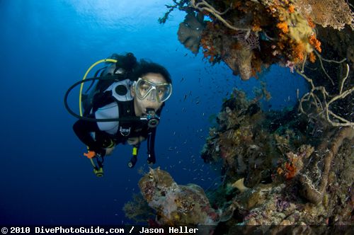 Scuba Diver underwater